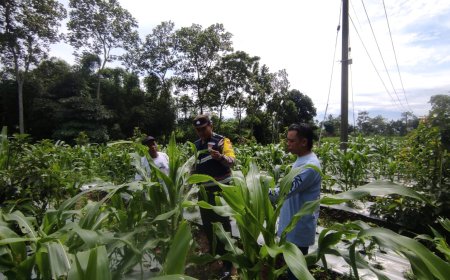 Bhabinkamtibmas Pantau Potensi Pangan di Wilayah Desa
