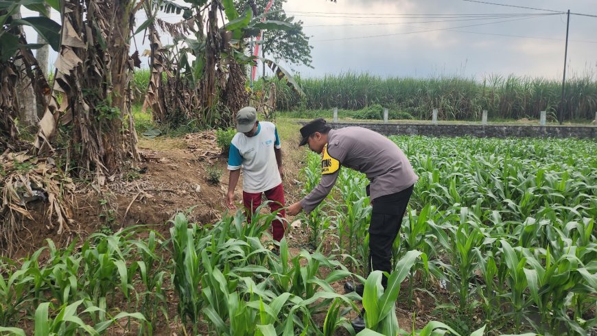 Jaga Pasokan Pangan, Polisi Dorong Hasil Tani Warga Tersalurkan